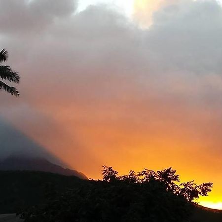 Paradise Palms B&B Kailua Bagian luar foto