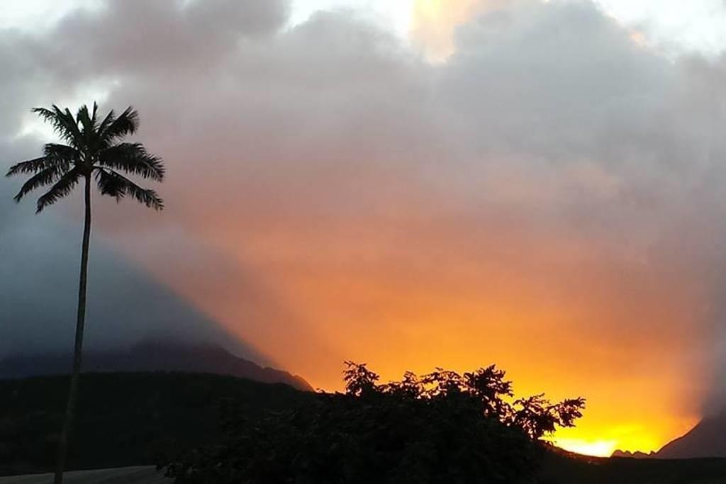 Paradise Palms B&B Kailua Bagian luar foto