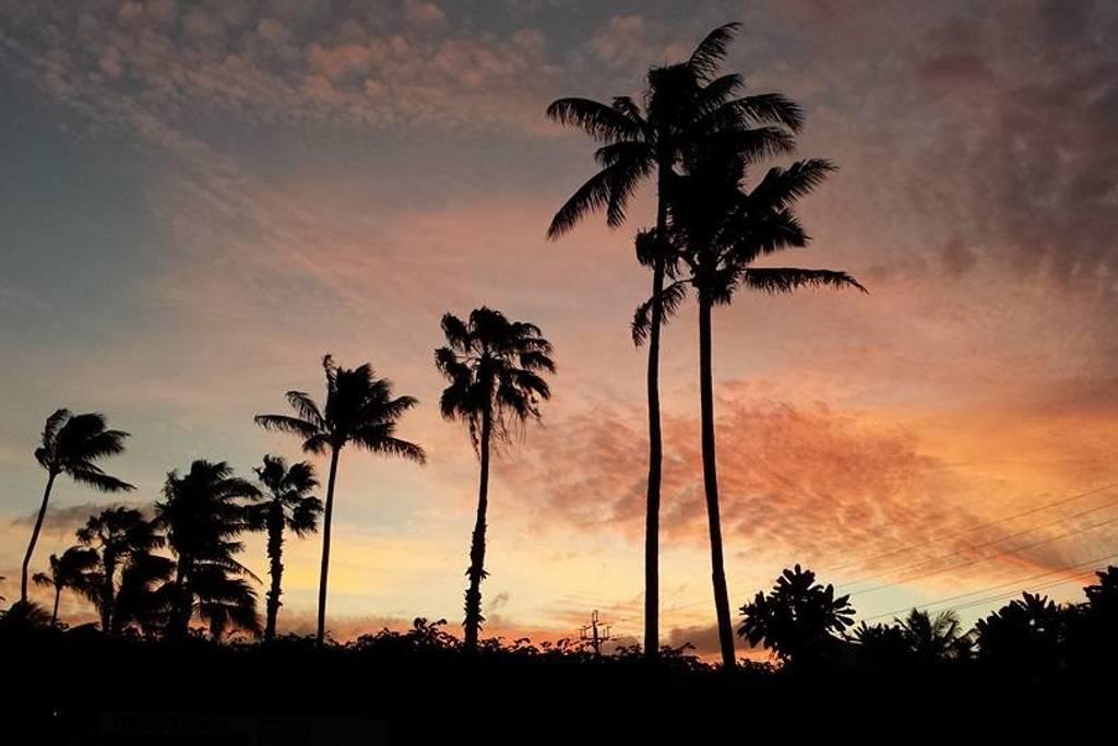 Paradise Palms B&B Kailua Bagian luar foto