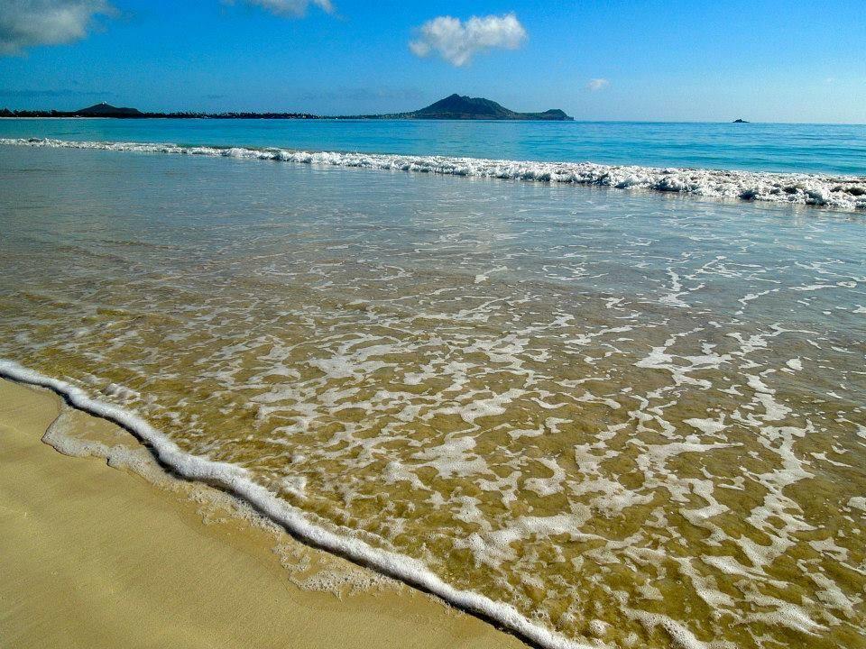 Paradise Palms B&B Kailua Bagian luar foto