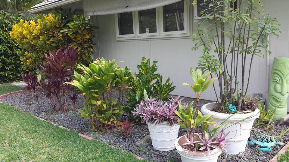 Paradise Palms B&B Kailua Bagian luar foto
